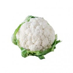 Memphis White cauliflower seeds