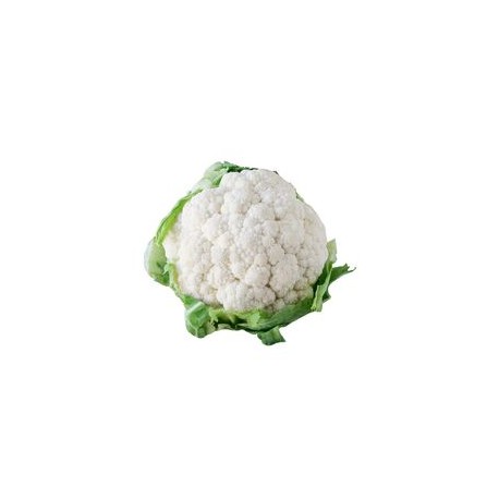 Memphis White cauliflower seeds