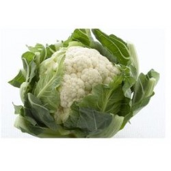 White Barcellona cauliflower seeds