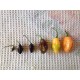 Pimenta da Neyde Big Peach Seeds