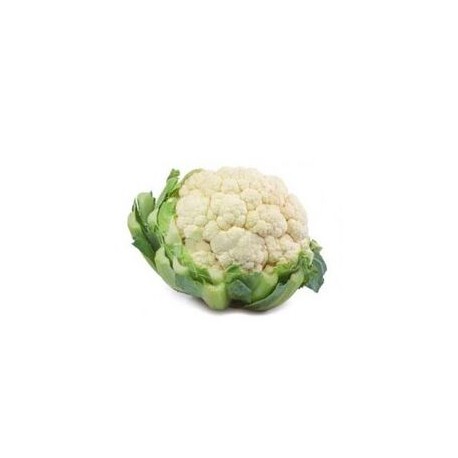 Vidoke white cauliflower seeds
