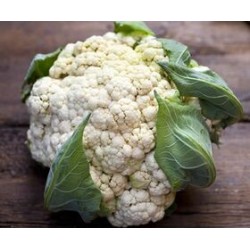 Triomphant cauliflower seeds