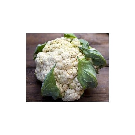 Triomphant cauliflower seeds