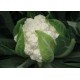 Utopia white cauliflower seeds