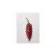 Dried Pimenta leopard (Ex macarena penis)
