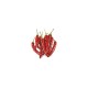 Mexican Chilli Pepper Seeds