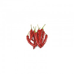 Mexican Chilli Pepper Seeds