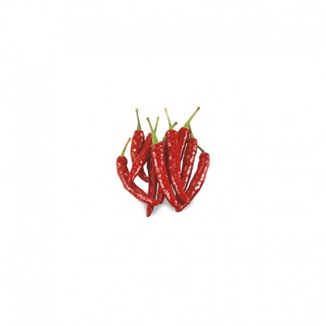 Semi di peperoncino messicano