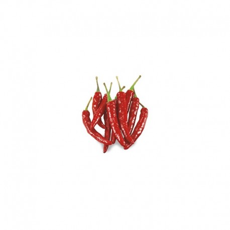 Mexican Chilli Pepper Seeds