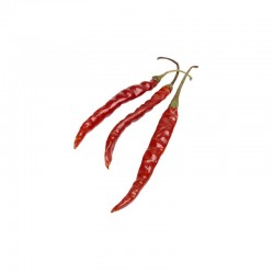 Chile de Arbol Seeds
