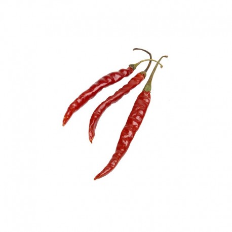 Chile de Arbol Seeds