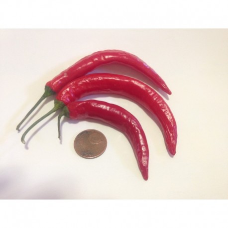 Dragon's Claw Chilli Seeds
