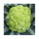 Panther green cauliflower