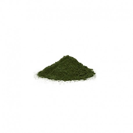 Trinidad Moruga Scorpion Green Powder