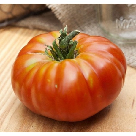 "Sarom" Pantano tomato seeds