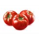 Optima round tomato seeds