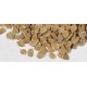 Optima round tomato seeds