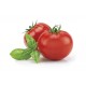 Crimson crush smooth round tomato seeds