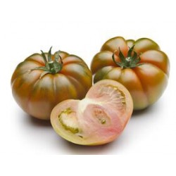 Semi pomodoro costoluto Siremar