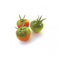 Semi di pomodoro tipo pachino Reginella