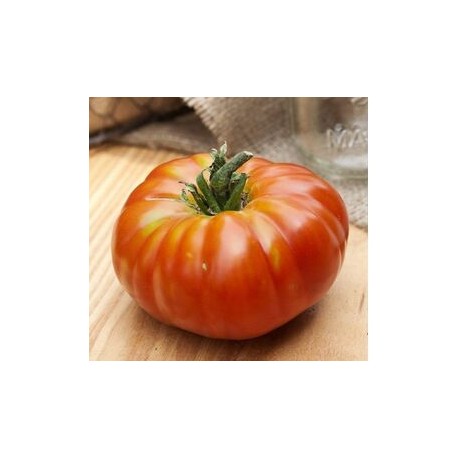 Semi di pomodoro Pantano Romanesco Antica Selezione