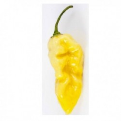 Dried Hot Lemon