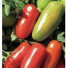 Semi di pomodoro San Marzano nano “Fenak”