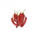 Dried mexican chilli pepper