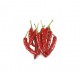 Dried mexican chilli pepper