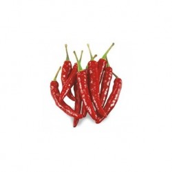 Dried mexican chilli pepper