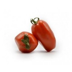 Semi di pomodoro San Marzano giallo Solania
