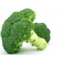semi di broccolo