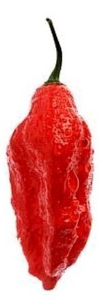 Bhut Jolokia