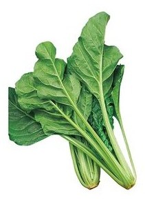 bieta da taglio