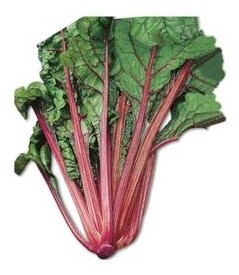 bietola rossa da orto