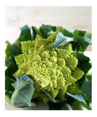 broccolo romanesco san giuseppe lazio