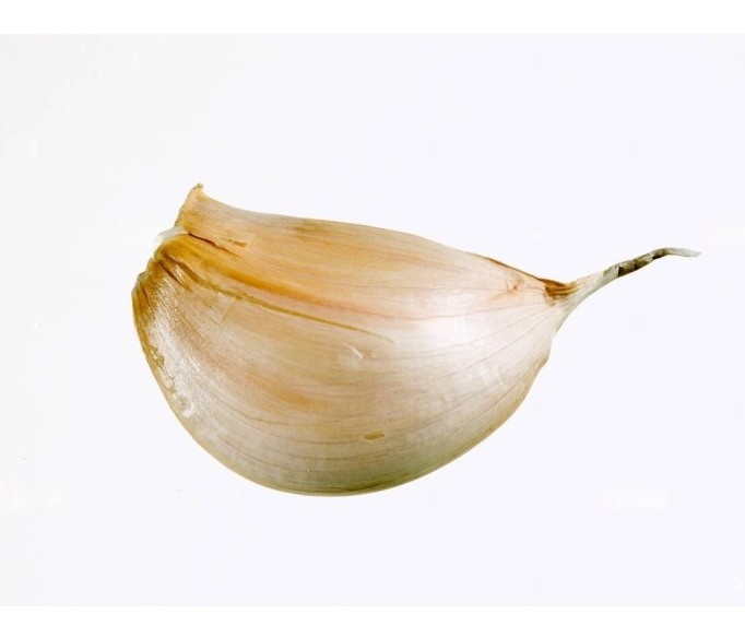 bulbillo di aglione di valdichiana