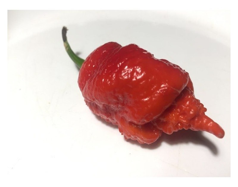 california reaper red