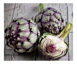 carciofo romanesco