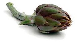 carciofo sardo