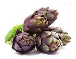 carciofo violetto