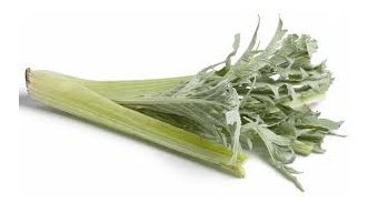 cardo