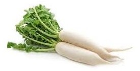 carota bianca