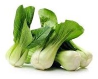 cavolo pak choi