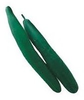 cetriolo lungo tasty green