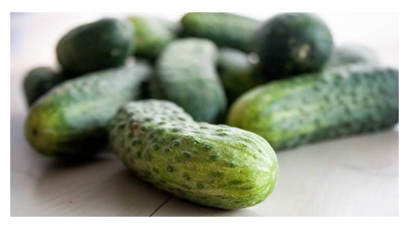 cetriolo sottaceto snack