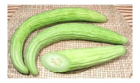 cetriolo tortarello abruzzese