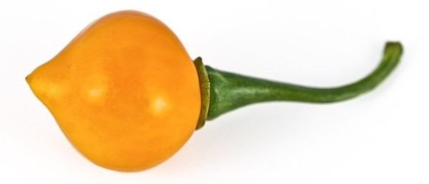chupetinho orange