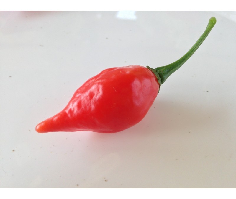 chupetinho red
