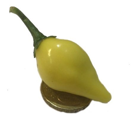 chupetinho yellow